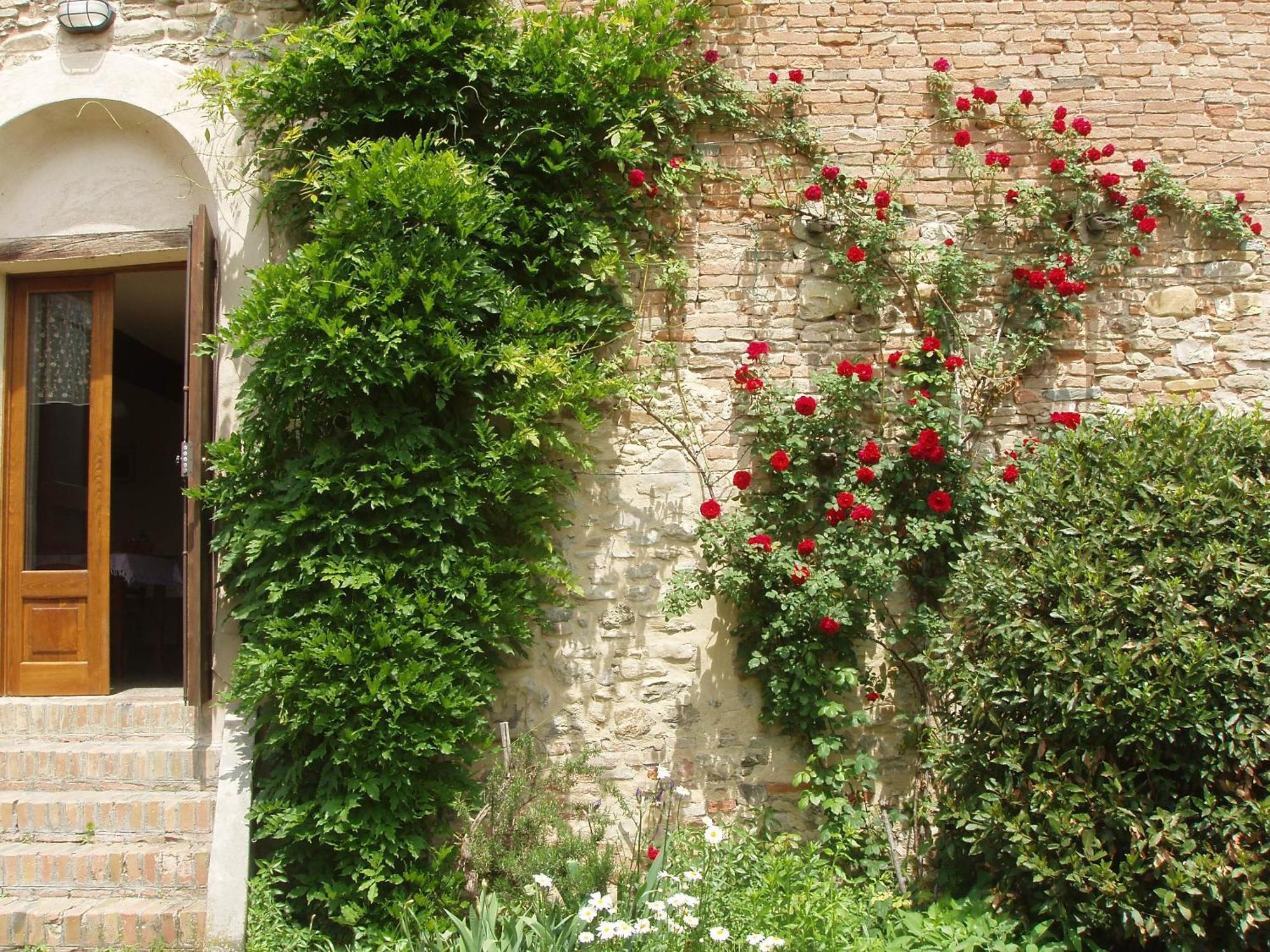 Agriturismo Ca' Bertu' Zappolino エクステリア 写真